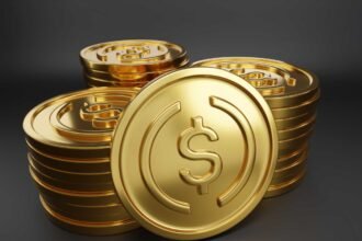 Apa Saja Jenis Stablecoin Dan Contoh Koinnya