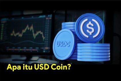 Apa itu USD Coin