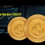 Apa itu Sui (SUI)