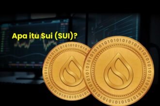 Apa itu Sui (SUI)